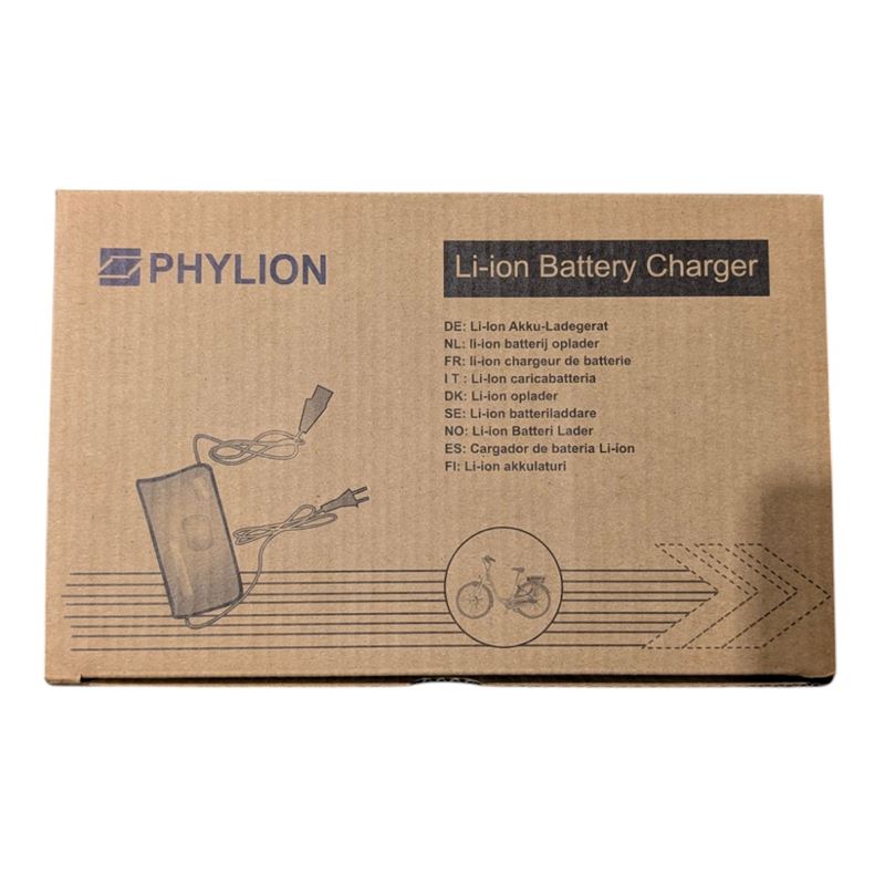 8431 1 - Lader A (42V  5 Pin) - Jason  Randolph  F2  Majestic.jpg