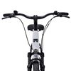 Momas Balance+ Belt drive